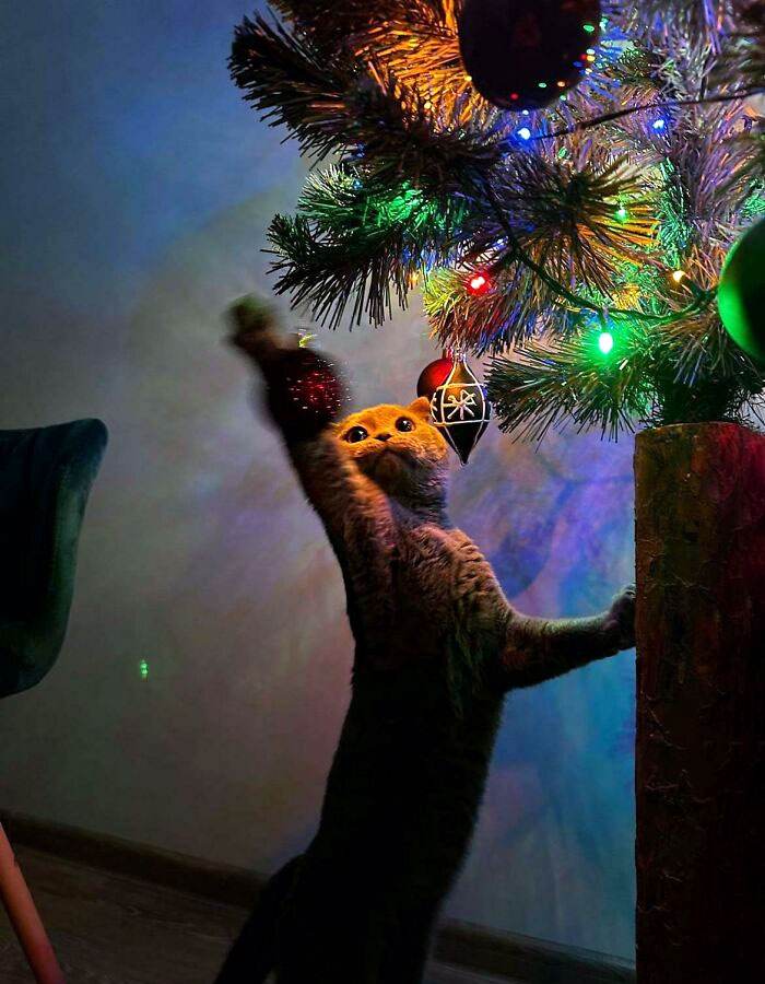 30 Times Pets Made Christmas A Holiday To Remember
