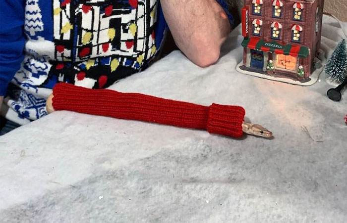 30 Times Pets Made Christmas A Holiday To Remember