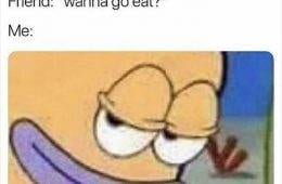 166436986 913888892758736 3830148076029176383 N 65C20037D0088 700