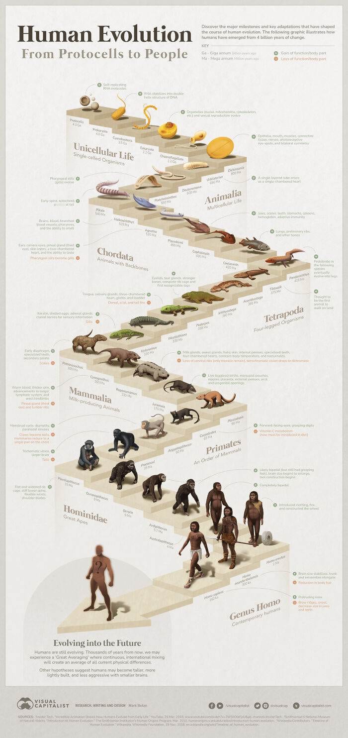 30 Unbelievable Fun Facts Brought To Life With Engaging Graphics