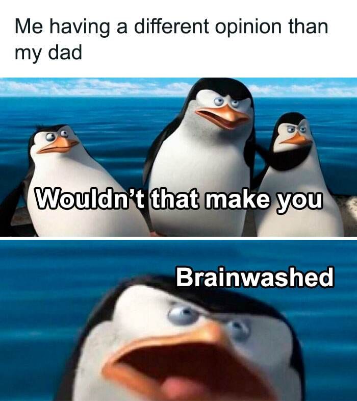 Funny Insane Parents Memes 8 65C9C57E05E19 700