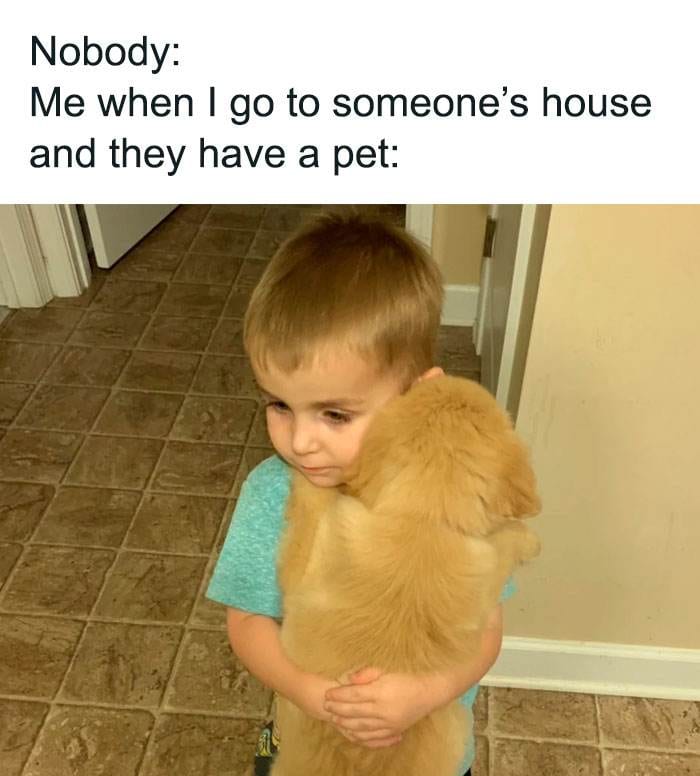 Hilarious Funny Memes 10 65Ccd22Fe70D8 700