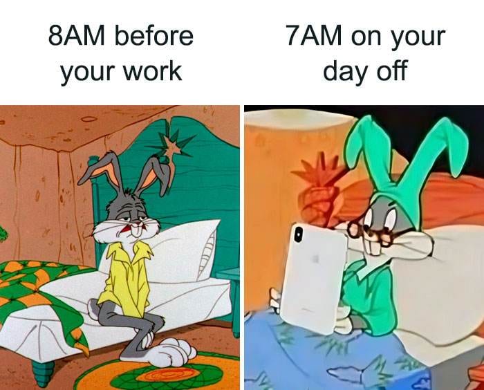 Hilarious Funny Memes 15 65Ccdce64B3F0 700