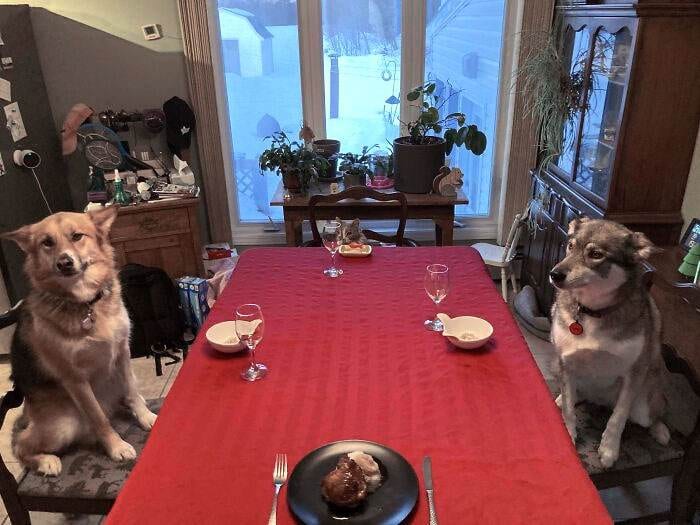 Valentines Day Wholesome 2 65Aa708A382Dd 700