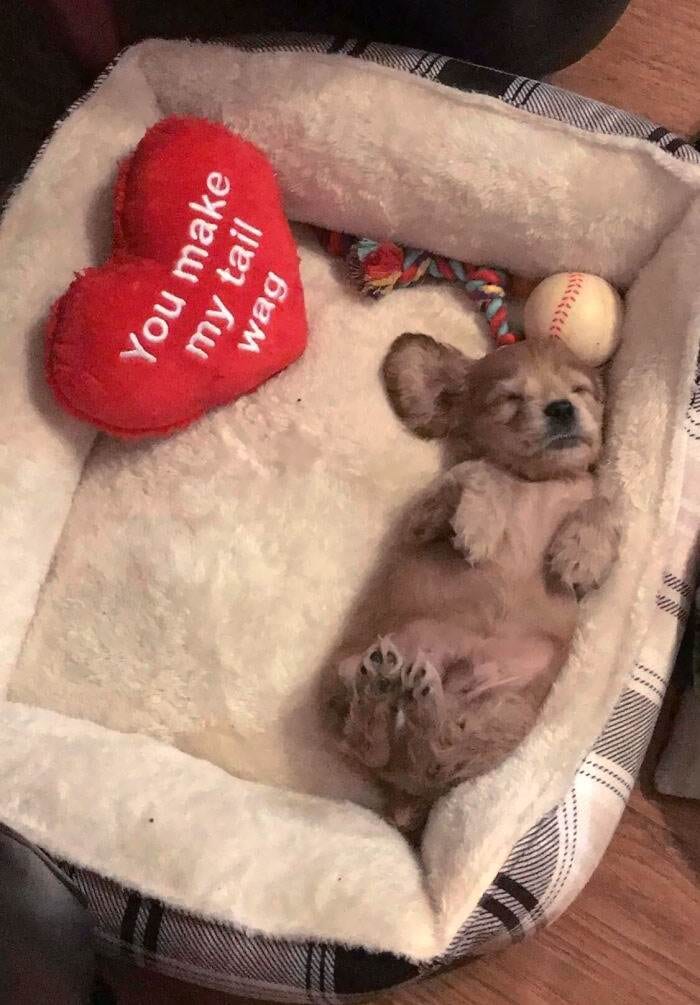  30 Incredible And Adorable Valentine's Day Gift Ideas For Your Loved Ones