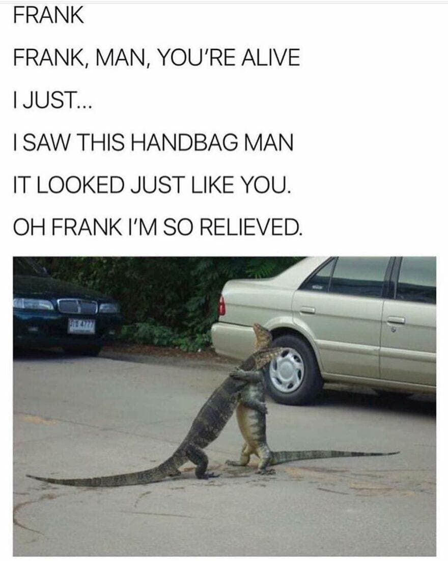 30 Delightful And Humorous Encounters Involving Animals