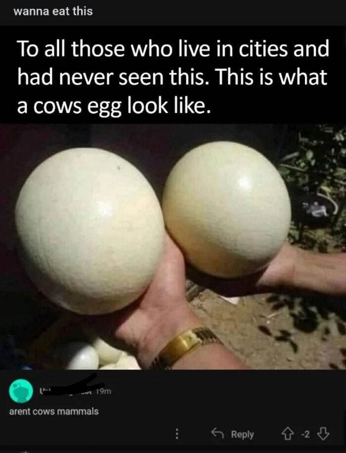 30 Hilarious Overconfident Individuals Missing The Joke