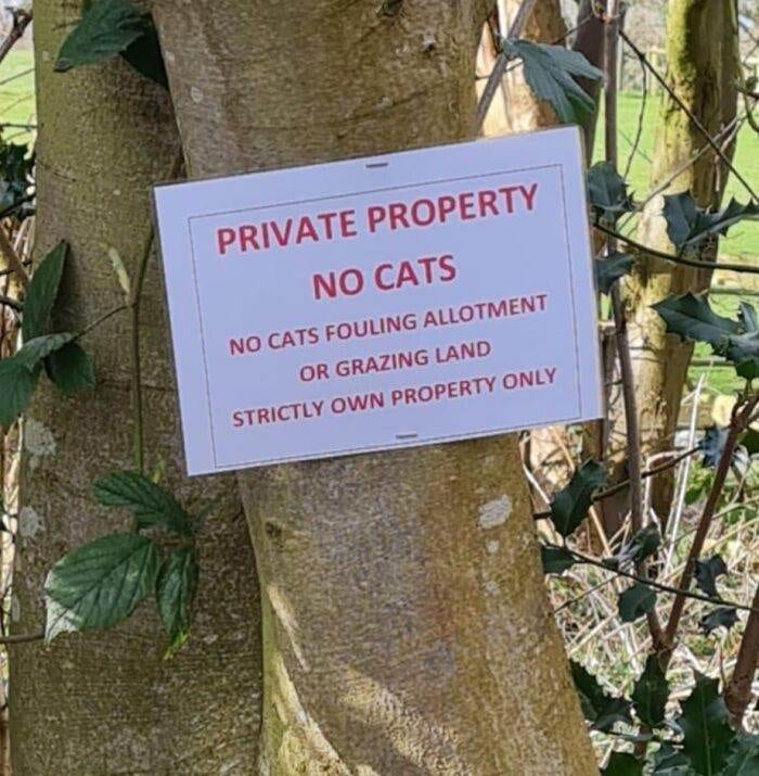 65F1A32Febdb5 Funny Bad Signs