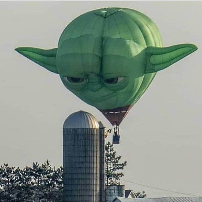 Brafv6Kgmtr Png 700
