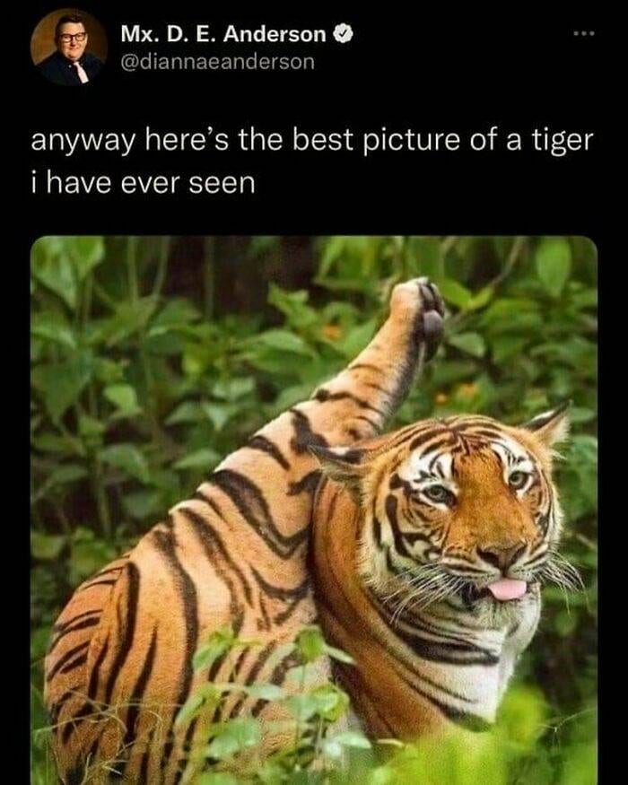 30 Instances When Animals Became The Ideal Meme Template