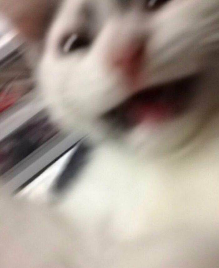 Ckvzl8Dp3S6 Png 700