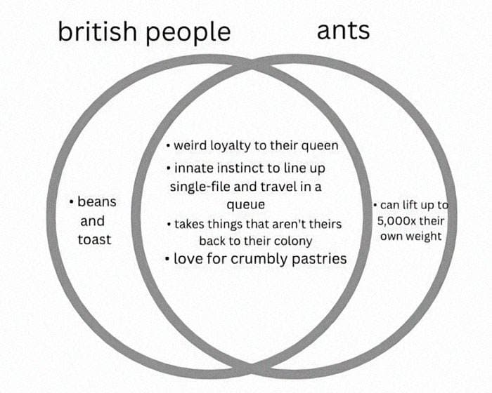 Funny British Humor Memes 31 65F1A0Fd9D48C 700