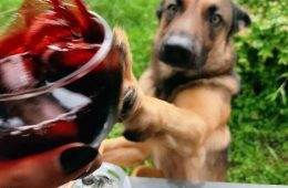 Funny Photos Before Disaster 12 65Dc805B5D203 700