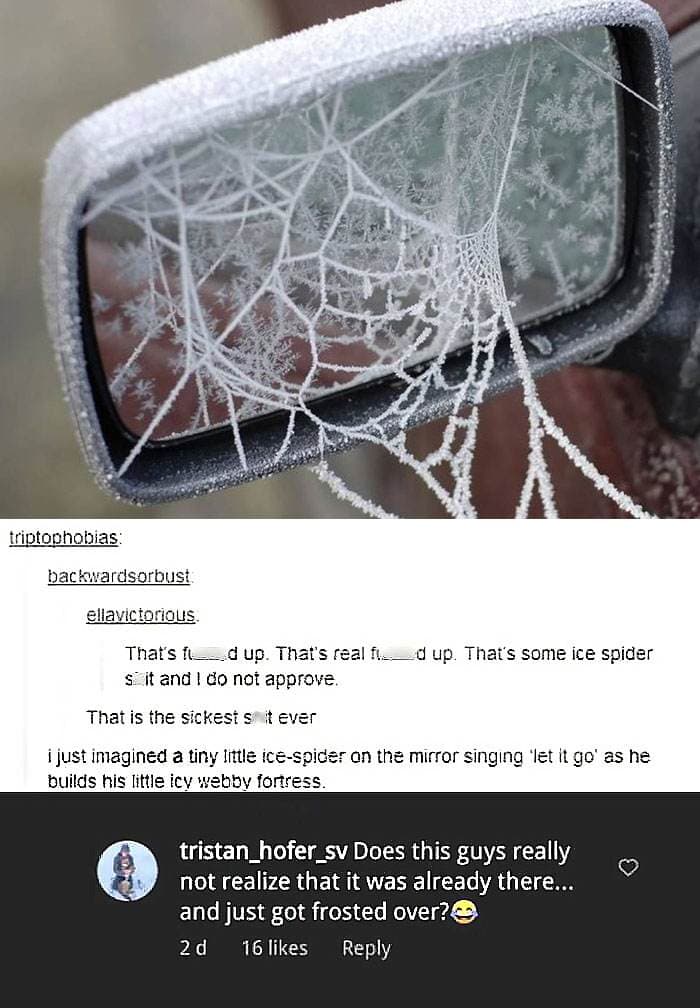 People Who Did Not Get The Joke 20 65F98D0B640A1 700