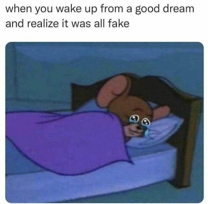 So Relatable Funny Memes 72 65F2B08Ceff5A 700