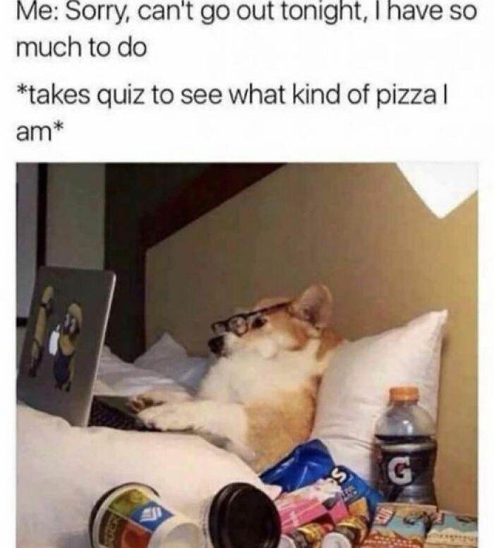 So Relatable Funny Memes 79 65F2B09B9B0Fb 700