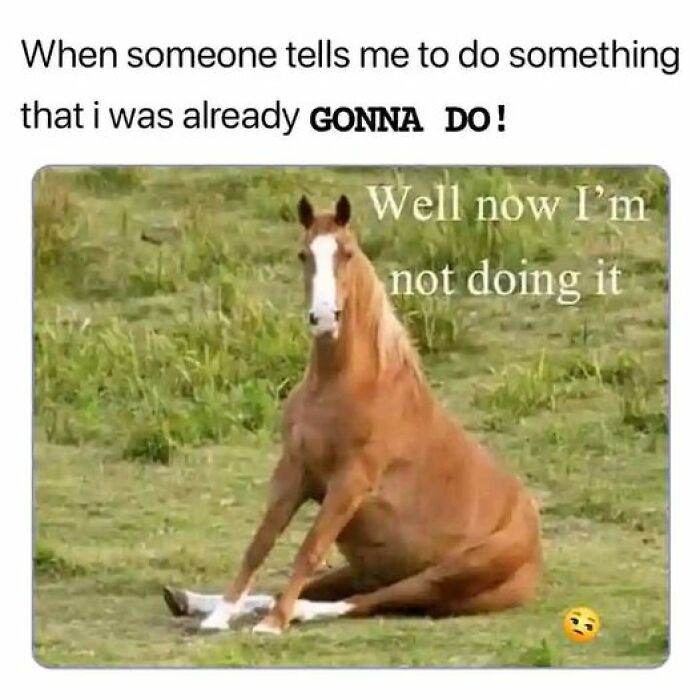 So Relatable Funny Memes 93 65F2B0B99B4F0 700