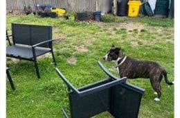 30 Hilarious Images From The &Quot;We Will Rebuild&Quot; Trend After The East Coast Earthquake