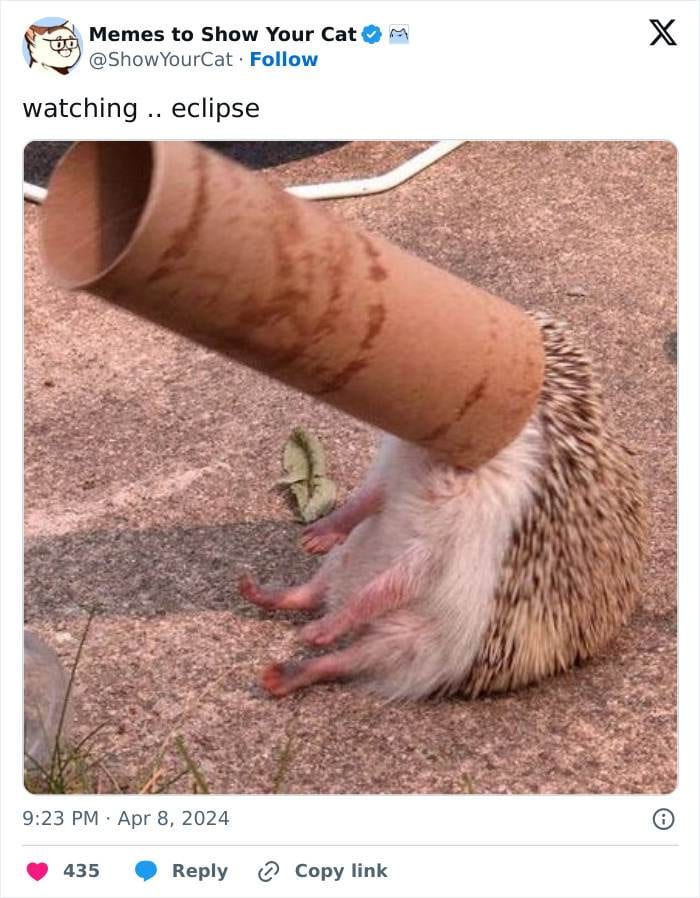 30 Hilarious Memes About The Solar Eclipse
