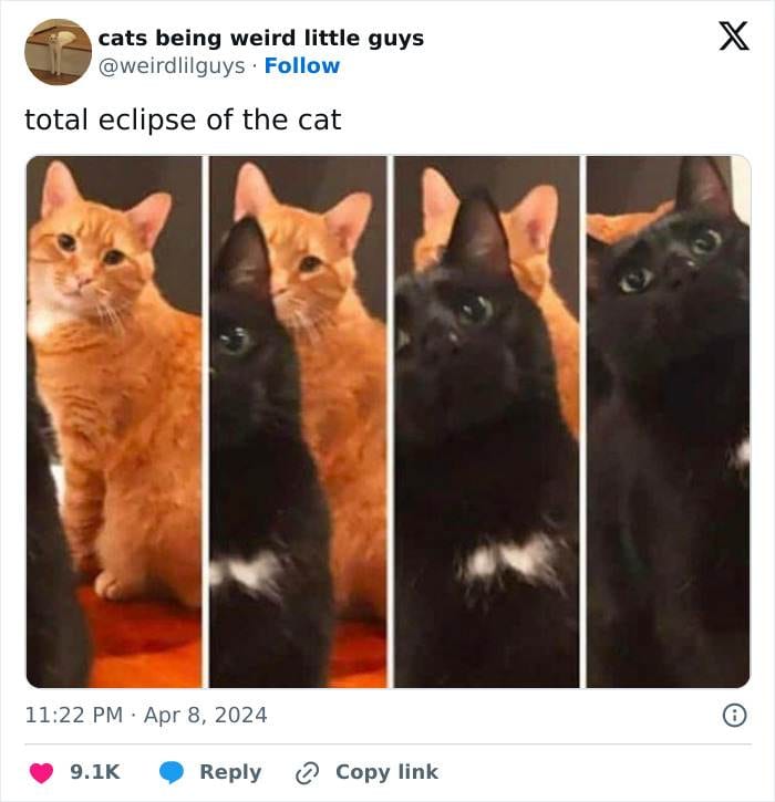 1777477140692492329 Png 700 1