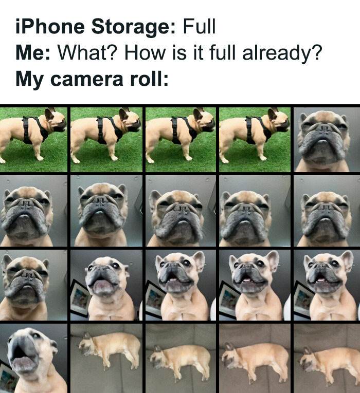30 Random Memes For Your Amusement During Procrastination
