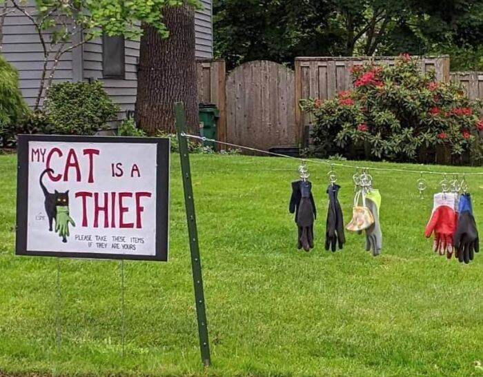 660418065E58C Funny Hilarious Signs 3