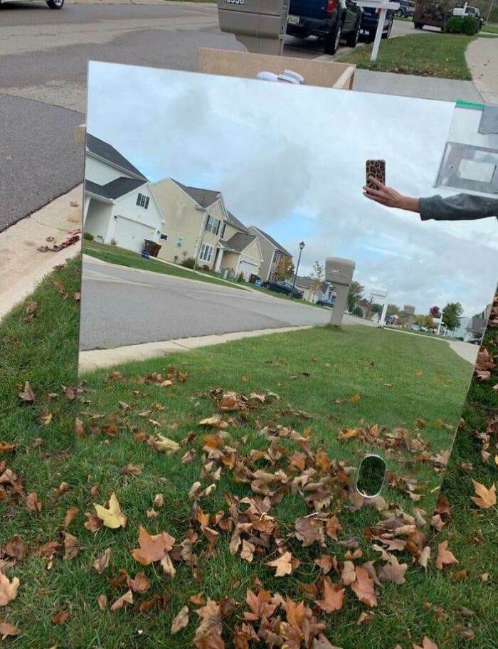 30 SideSplitting Mirror Selling Memes
