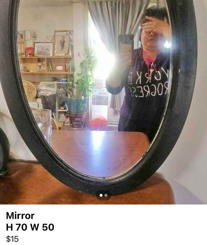 6613Fc95A790E Funny Pics People Selling Mirrors