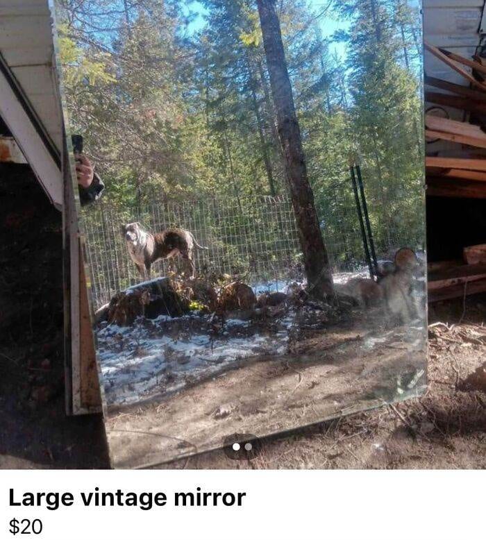 661407Bb738E6 Funny Pics People Selling Mirrors