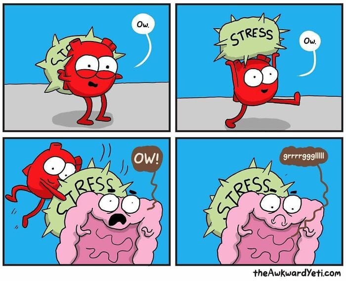 Battle Royale The Hilarious Showdown Between Heart And Brain In Comic Form New Pics 6617F82A6934B 700 1
