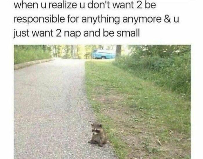 30 Incredibly Funny Mental Health Memes