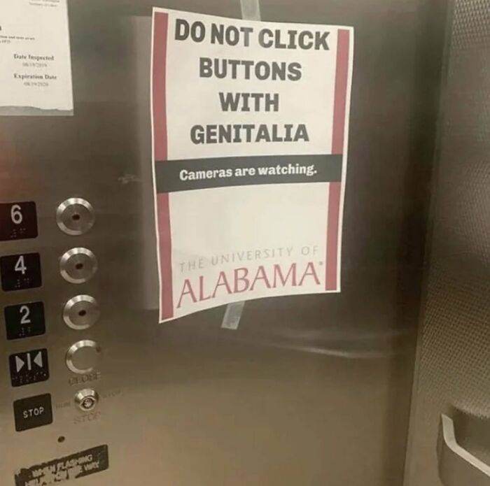 30 Signs Discovered In Nature That Are Hilariously Chaotic