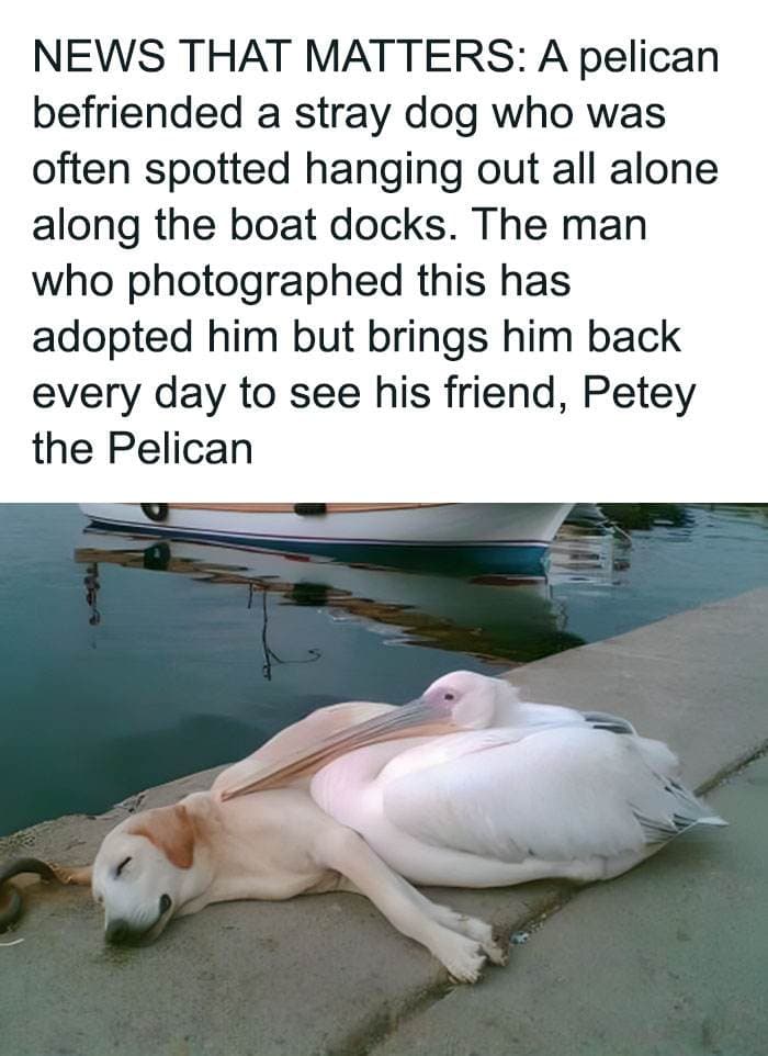 Epic Texts Random Memes 1 661934555Ccba 700