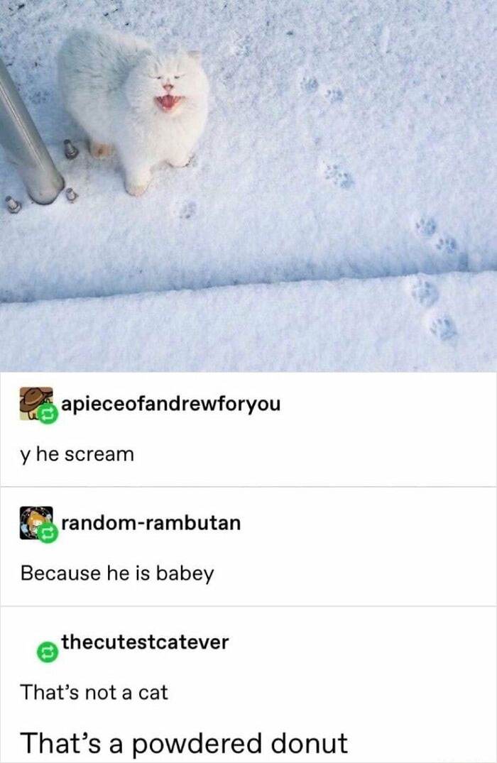 Epic Texts Random Memes 10 66193De120432 700