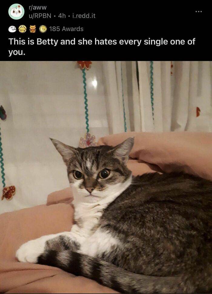 Epic Texts Random Memes 33 6618E8850C4Fd 700