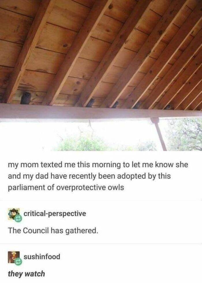 Epic Texts Random Memes 44 6618E89Fcf22B 700