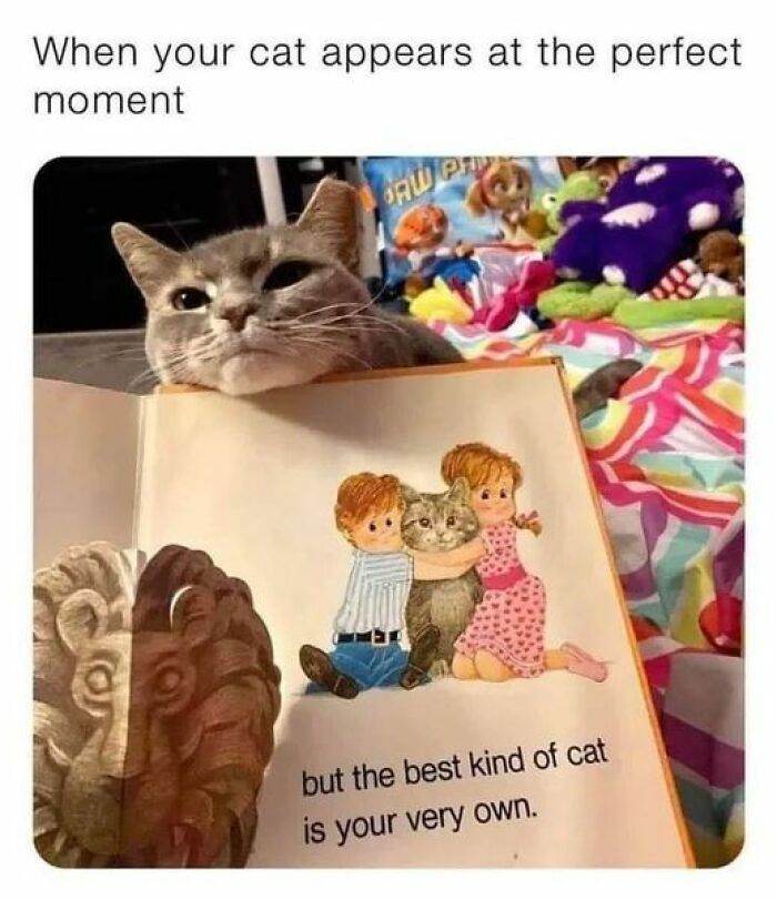 Epic Texts Random Memes 49 6618E8Ab8635C 700