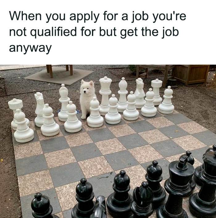 Funny Doggo Memes 28 660C17E45948A Png 700