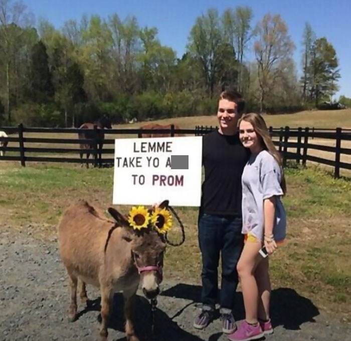 Funny Hilarious Signs 2 66052E559728B 700