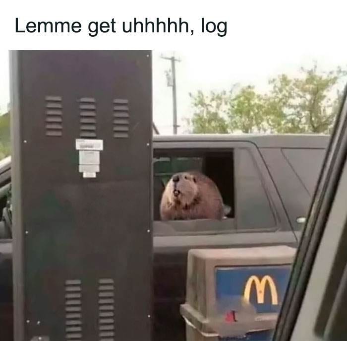 Funny Nice Relatable Memes 1 66011867250F5 700