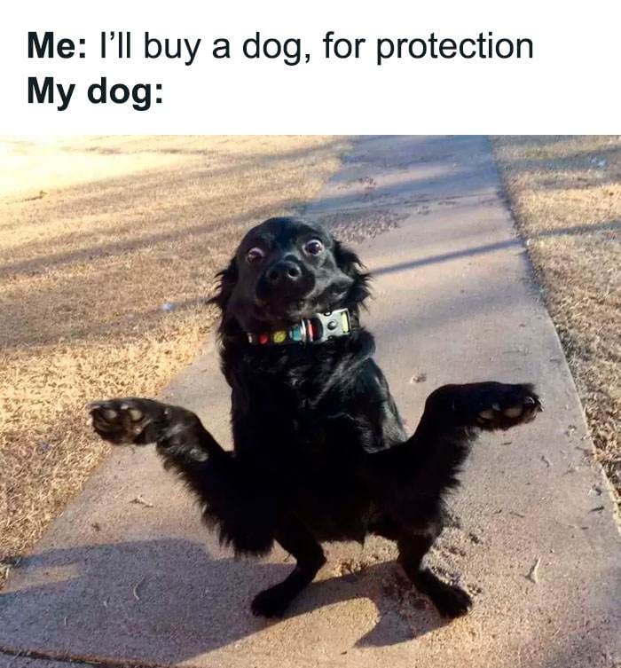 30 Memes Perfect For A Break And A Chuckle