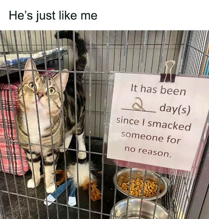 30 Memes Perfect For A Break And A Chuckle