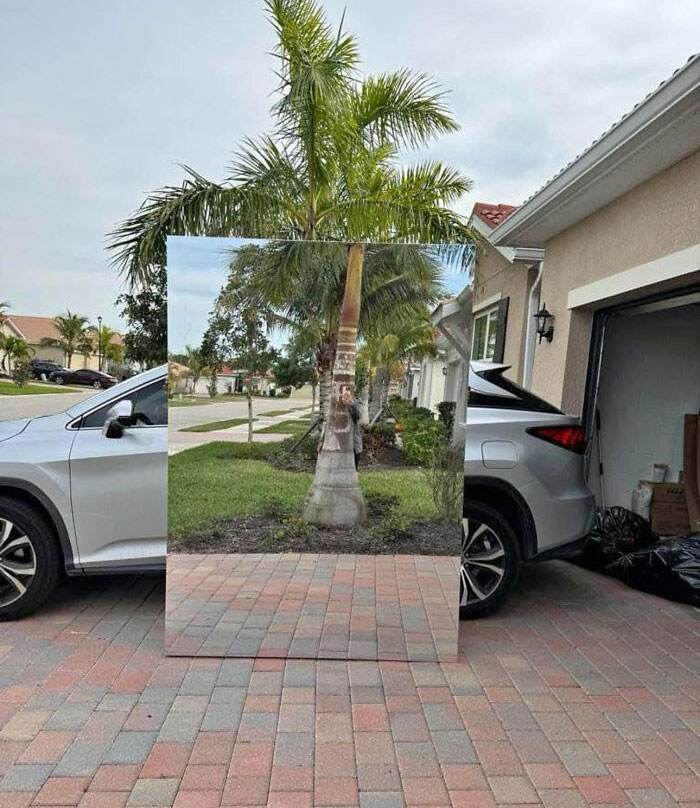 Funny Pics People Selling Mirrors 1 6613E9Ed56D13 700