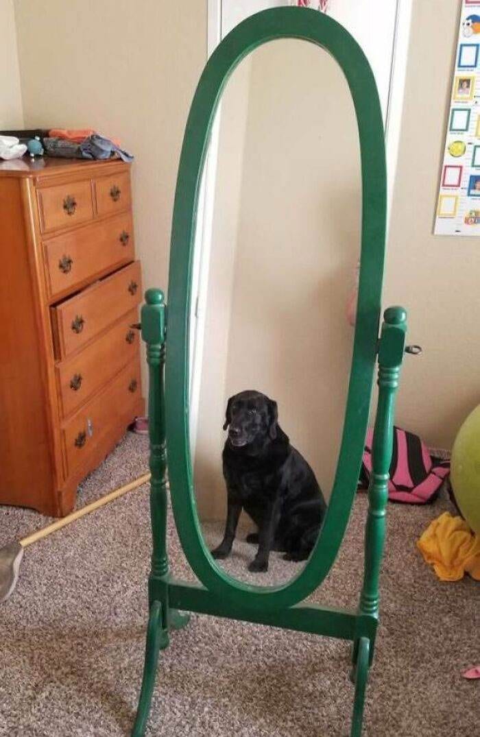 Funny Pics People Selling Mirrors 12 6613F76C47457 700