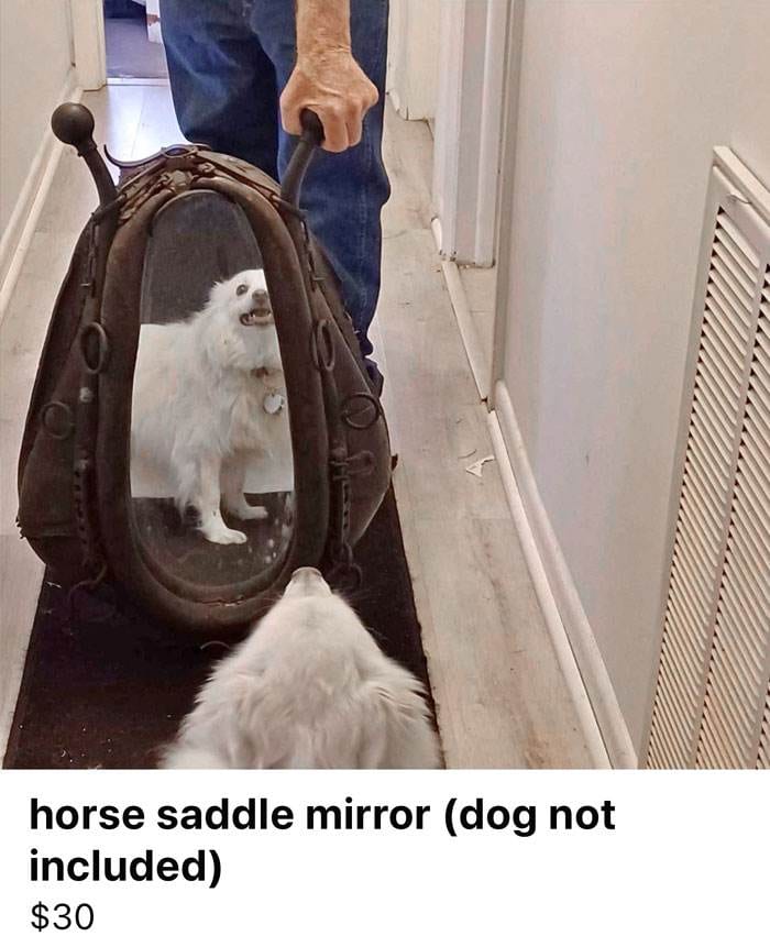 Funny Pics People Selling Mirrors 13 660E43Ff11B74 700