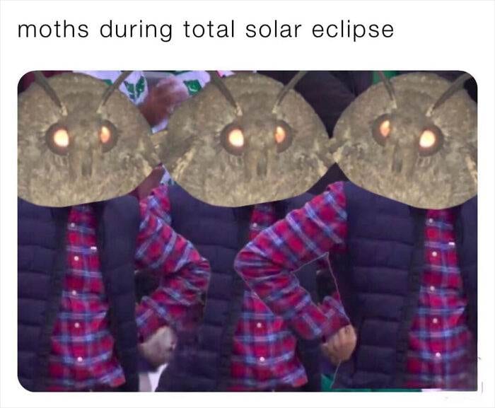 Hilarious Solar Eclipse Memes 6615041112Ed5 Png 700 1