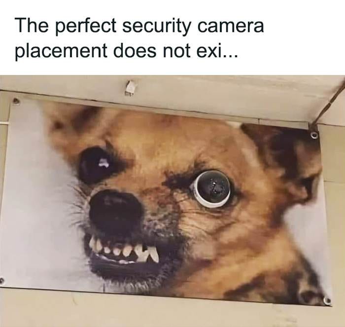 30 Hilarious Memes About It