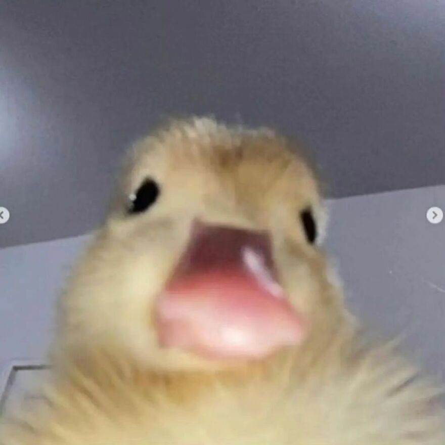 438862694 927378322417839 2433600386610427068 N 663E2E46C3789 880