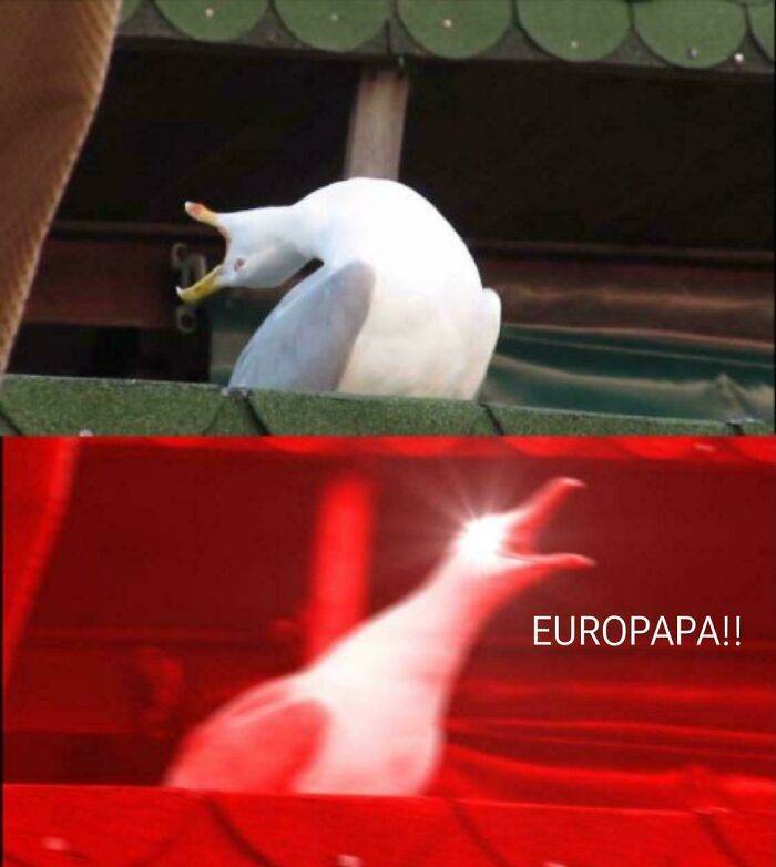 6641B7A624B86 M92Naewllfzc1 Jpeg 700