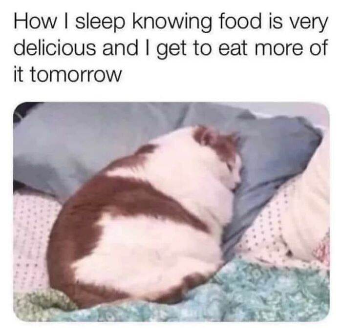 30 Amusing Memes From This Ig Page To Scroll Through Instead Of Doing Literally Anything Else